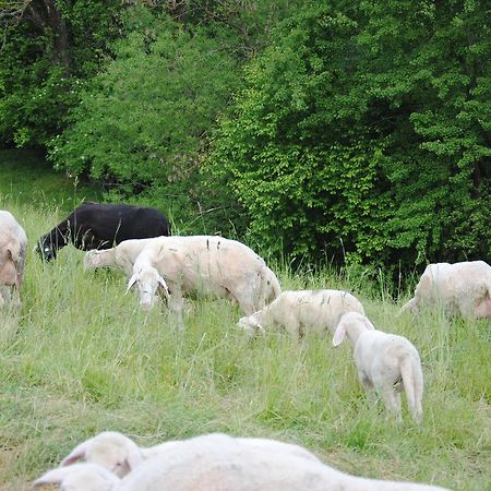 Landgasthof Seyrlberg Reichenau im Mühlkreis Kültér fotó