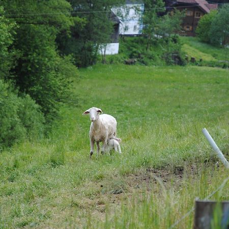 Landgasthof Seyrlberg Reichenau im Mühlkreis Kültér fotó