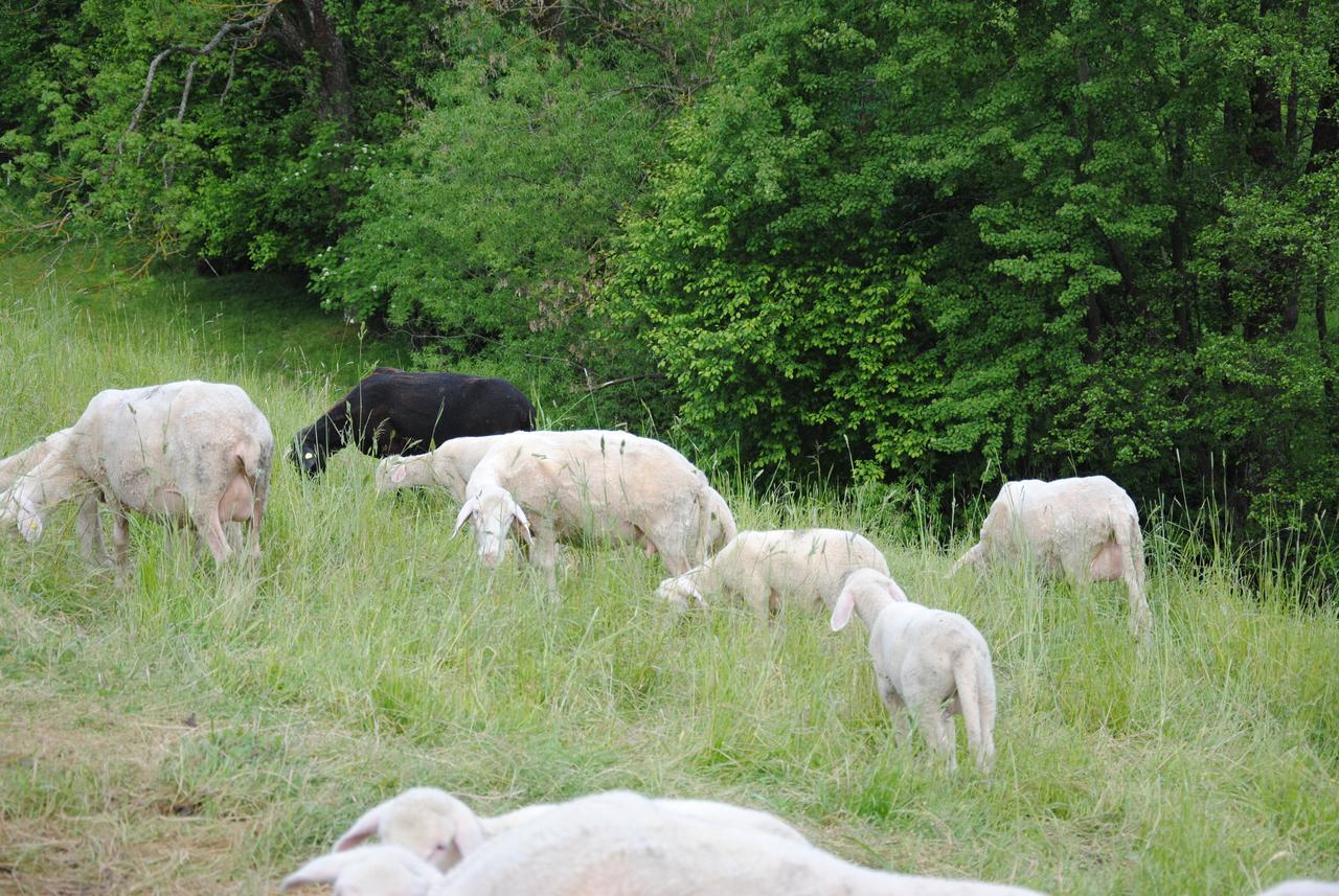 Landgasthof Seyrlberg Reichenau im Mühlkreis Kültér fotó